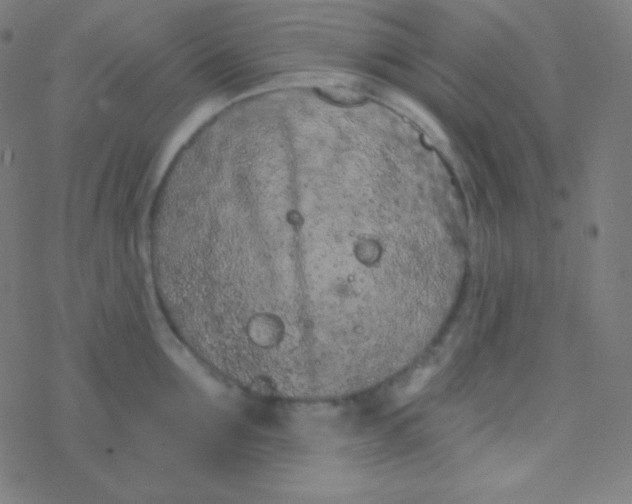 X0000077370907200611101701