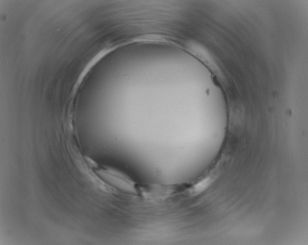 X0000077370908200611101701