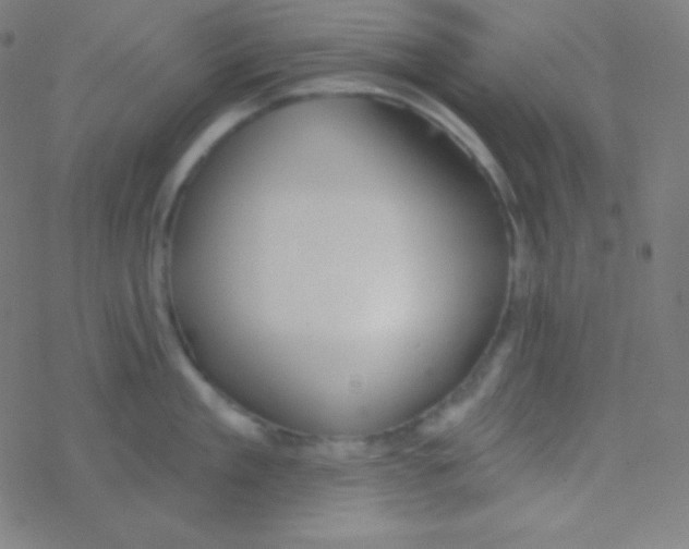 X0000077370909200611101701