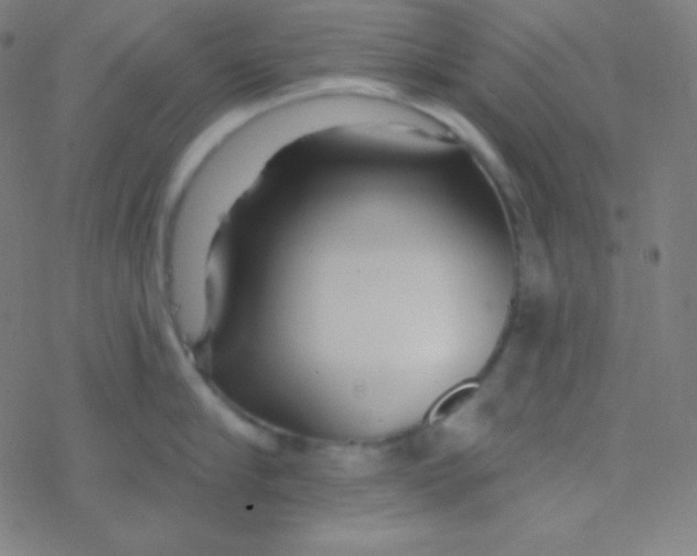 X0000077370910200611101701