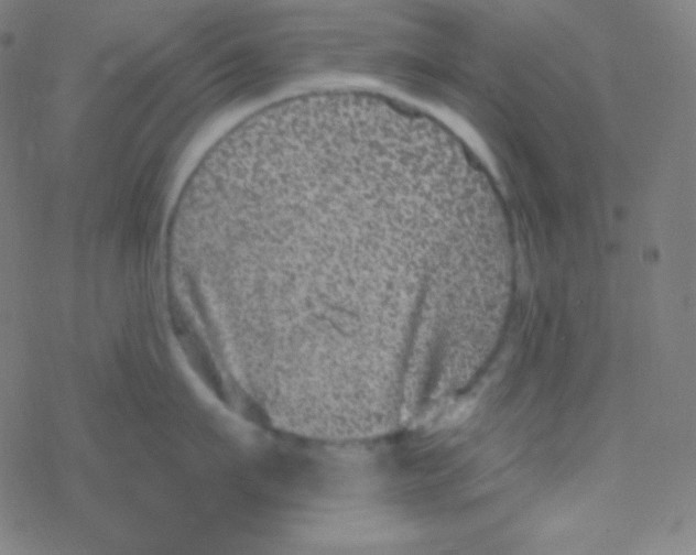 X0000077370911200611101701