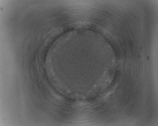 X0000077370913200611101700