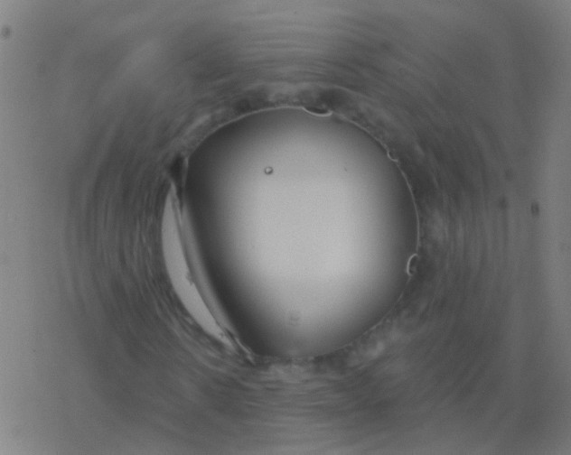 X0000077370914200611101700