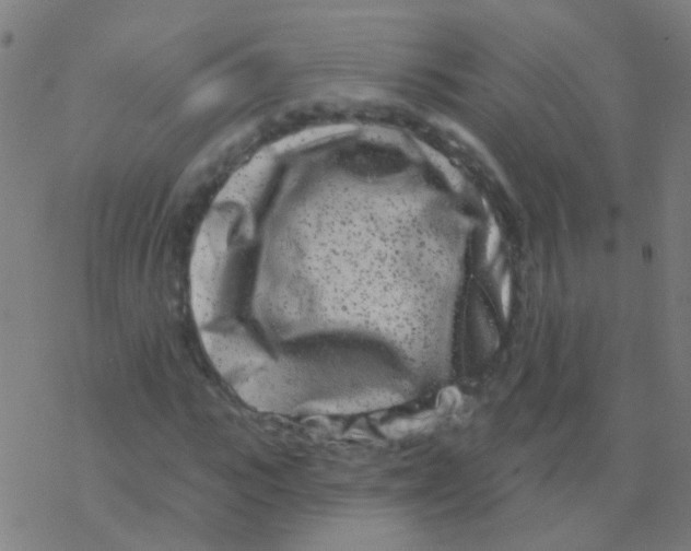 X0000077370919200611101700