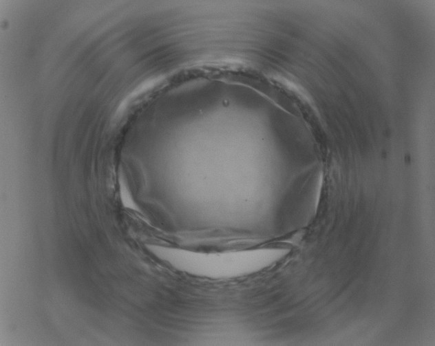 X0000077370920200611101700