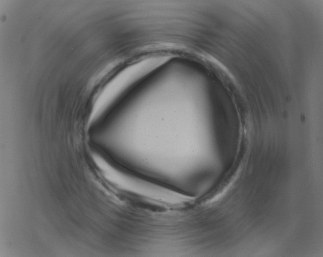 X0000077370921200611101700