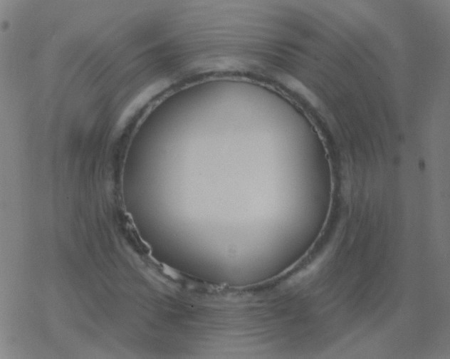 X0000077370922200611101700