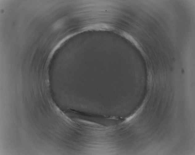 X0000077370923200611101700