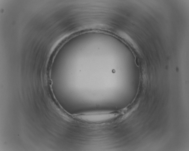 X0000077370924200611101700