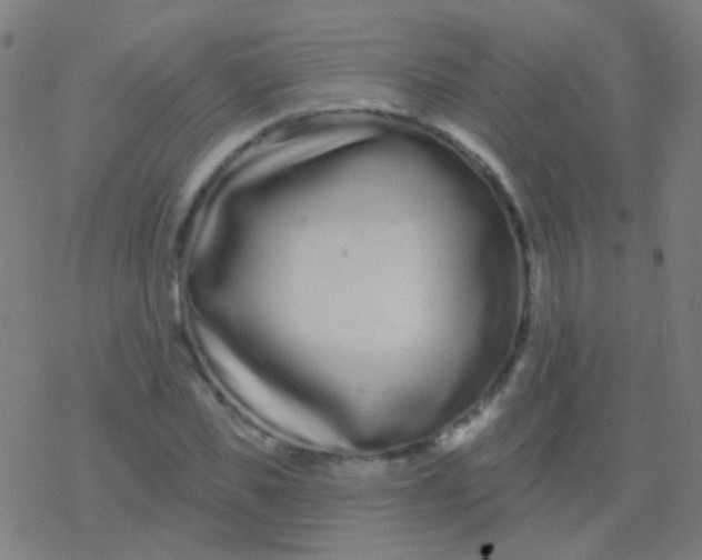 X0000077370925200611101700