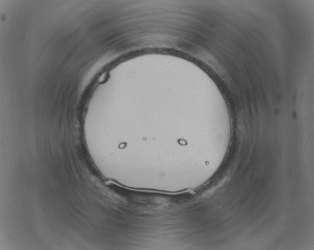 X0000077370926200611101700