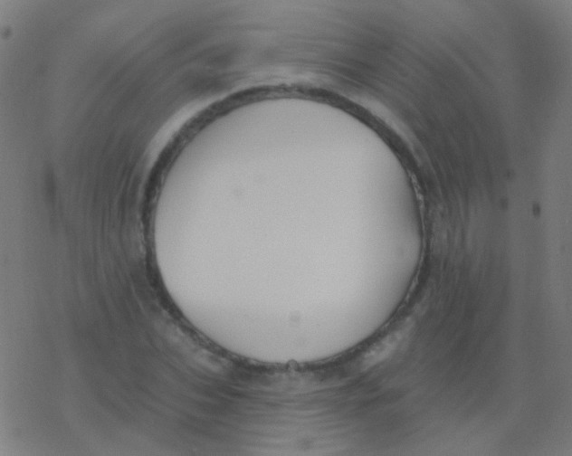 X0000077370927200611101700