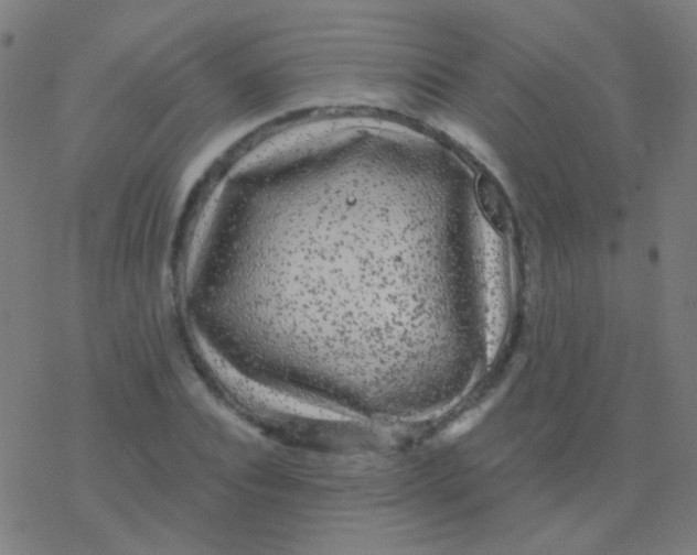 X0000077370928200611101700