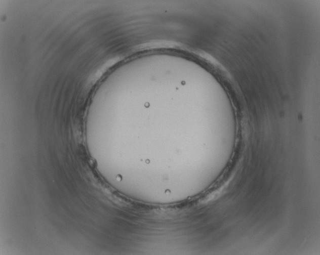 X0000077370929200611101700