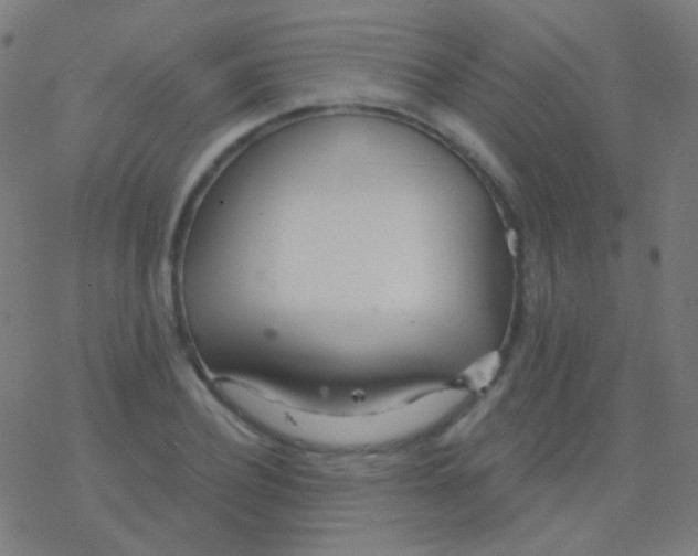 X0000077370932200611101700