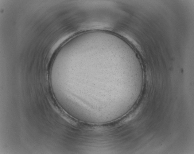 X0000077370933200611101700