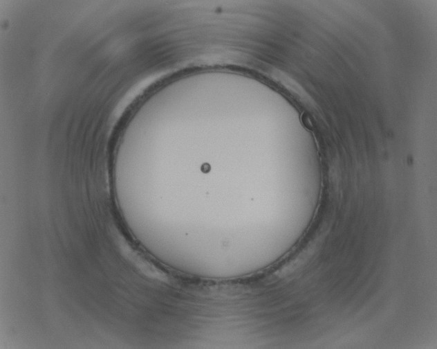 X0000077370934200611101700