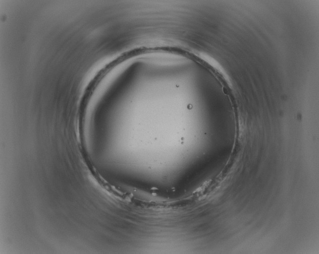 X0000077370935200611101700