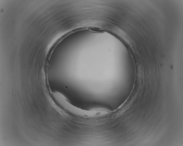 X0000077370936200611101700