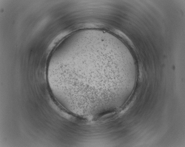 X0000077370938200611101700