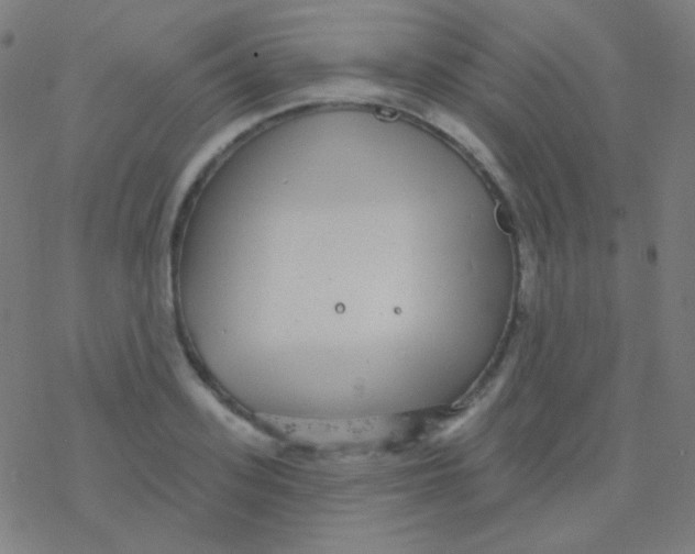 X0000077370939200611101700