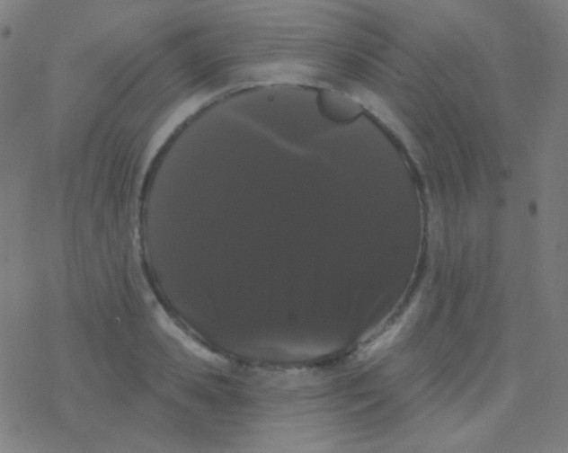 X0000077370941200611101700