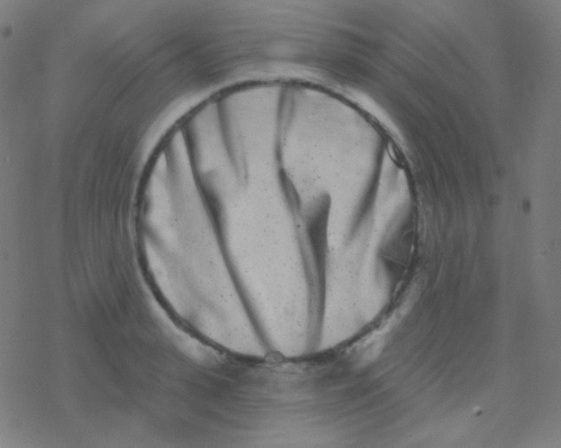 X0000077370943200611101701