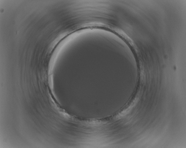 X0000077370945200611101701