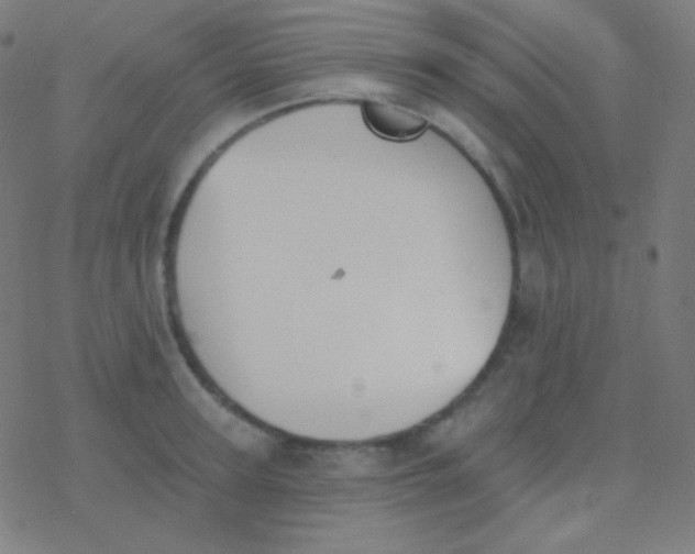 X0000077370947200611101701