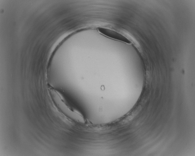 X0000077370948200611101701