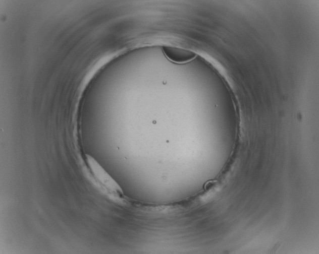 X0000077370949200611101701