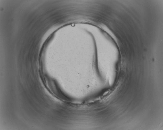 X0000077370951200611101701