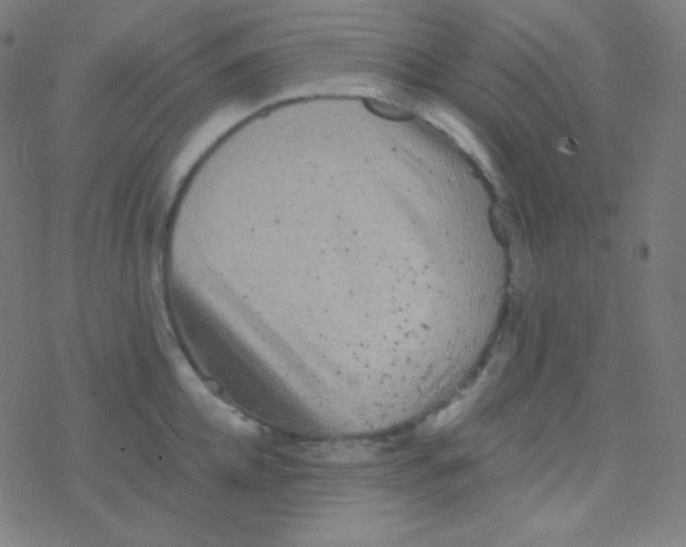 X0000077370952200611101701