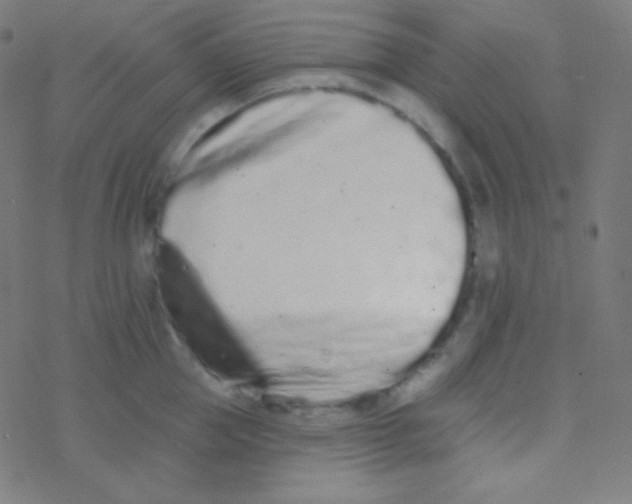 X0000077370953200611101701