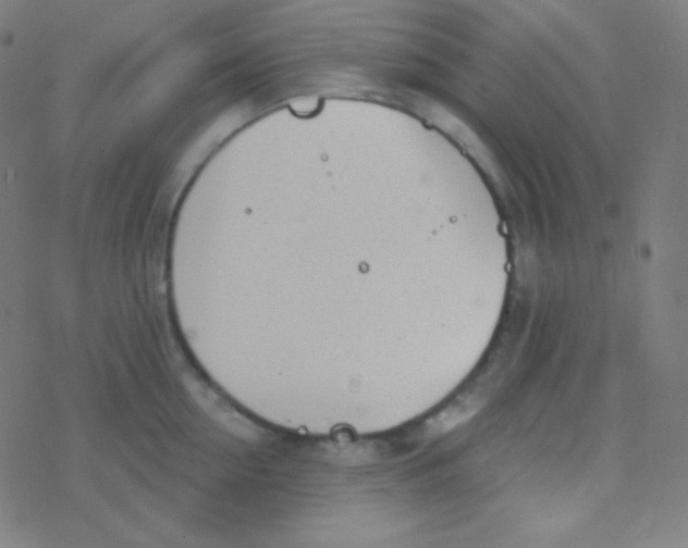 X0000077370954200611101701