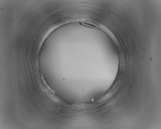 X0000077370956200611101701