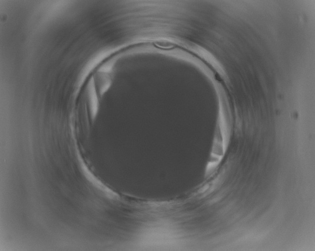 X0000077370958200611101701