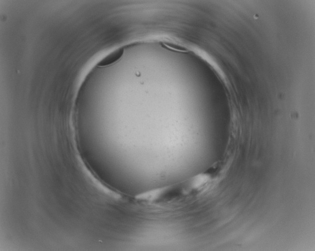 X0000077370959200611101701