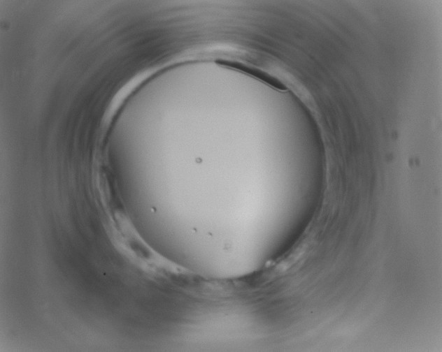 X0000077370960200611101701