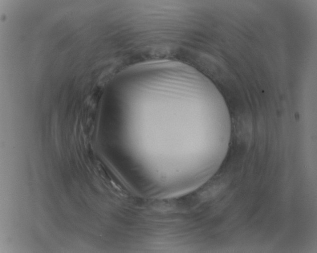 X0000077370962200611101700