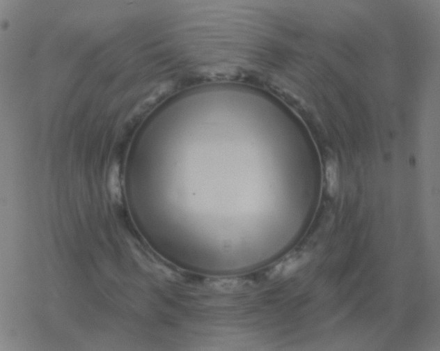 X0000077370963200611101700