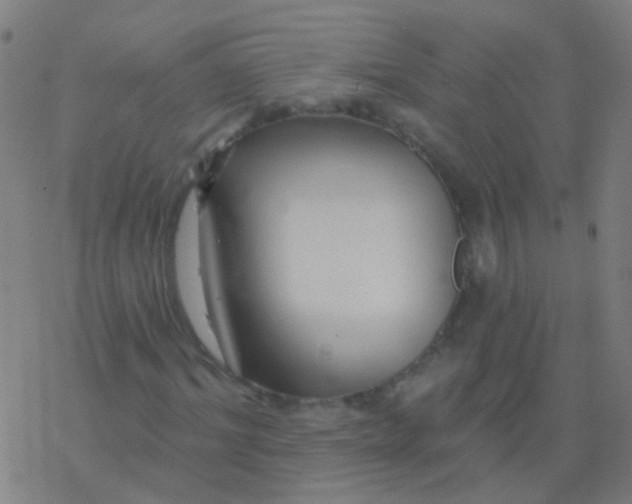 X0000077370964200611101700