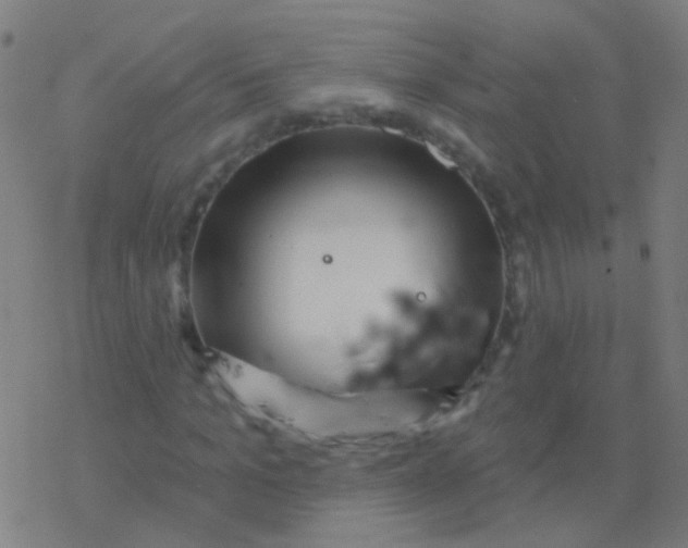 X0000077370965200611101700