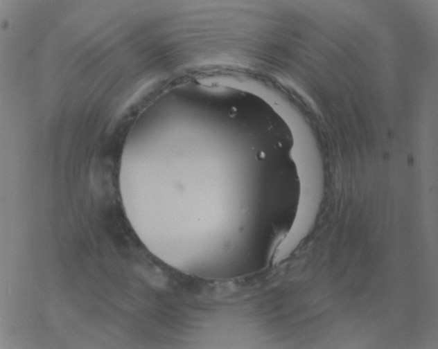 X0000077370968200611101700