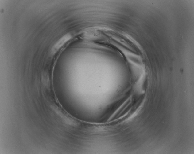 X0000077370969200611101700