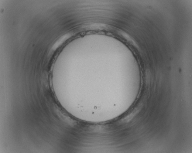 X0000077370970200611101700