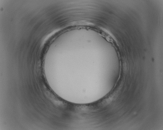 X0000077370971200611101700