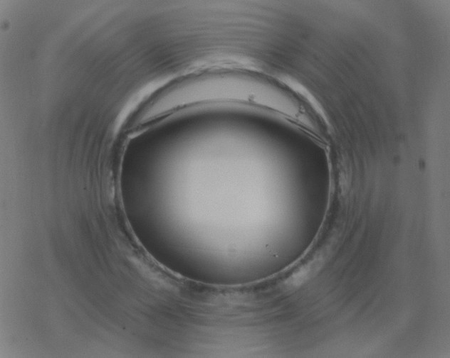 X0000077370973200611101700