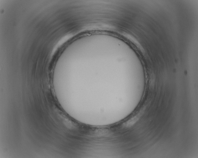 X0000077370974200611101700