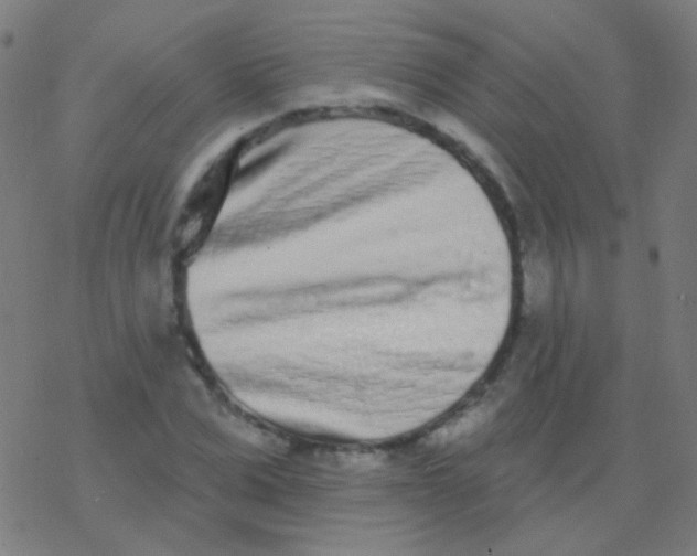 X0000077370975200611101700